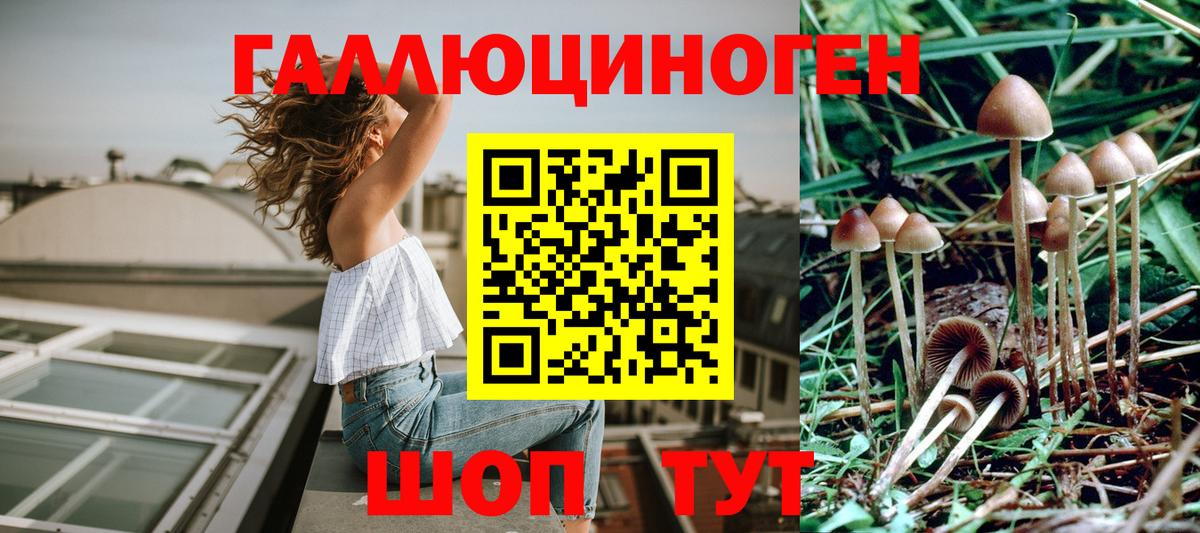 Асино  закладка  Галлюциногенные грибы Magic Shrooms  Вход с VPN  Галлюциногенные грибы ЛСД 