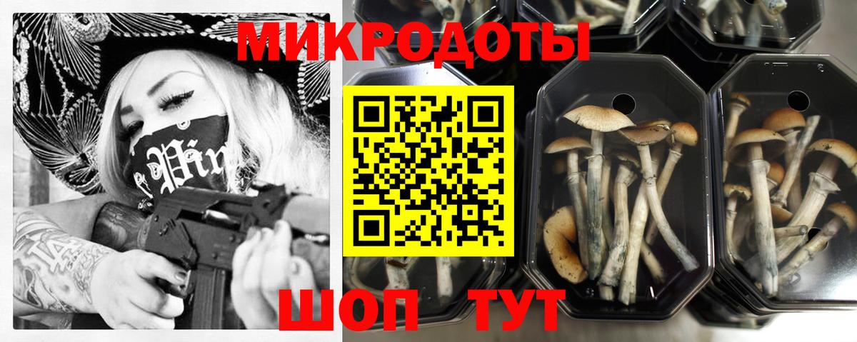 Галлюциногенные грибы мухоморы Асино