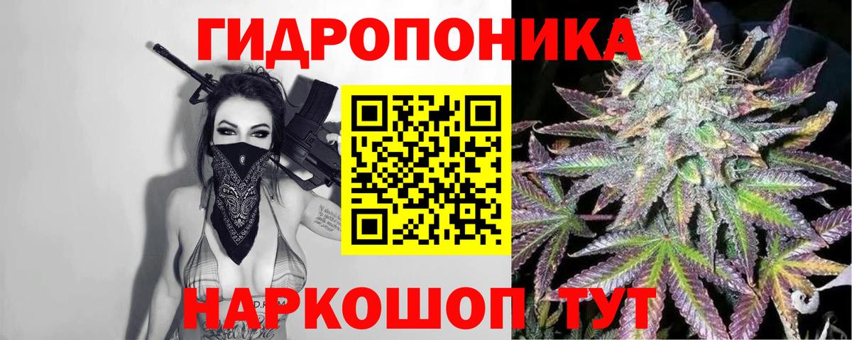 Каннабис марихуана  Вход с VPN  Шишки марихуана марихуана  Асино  Канабис план 